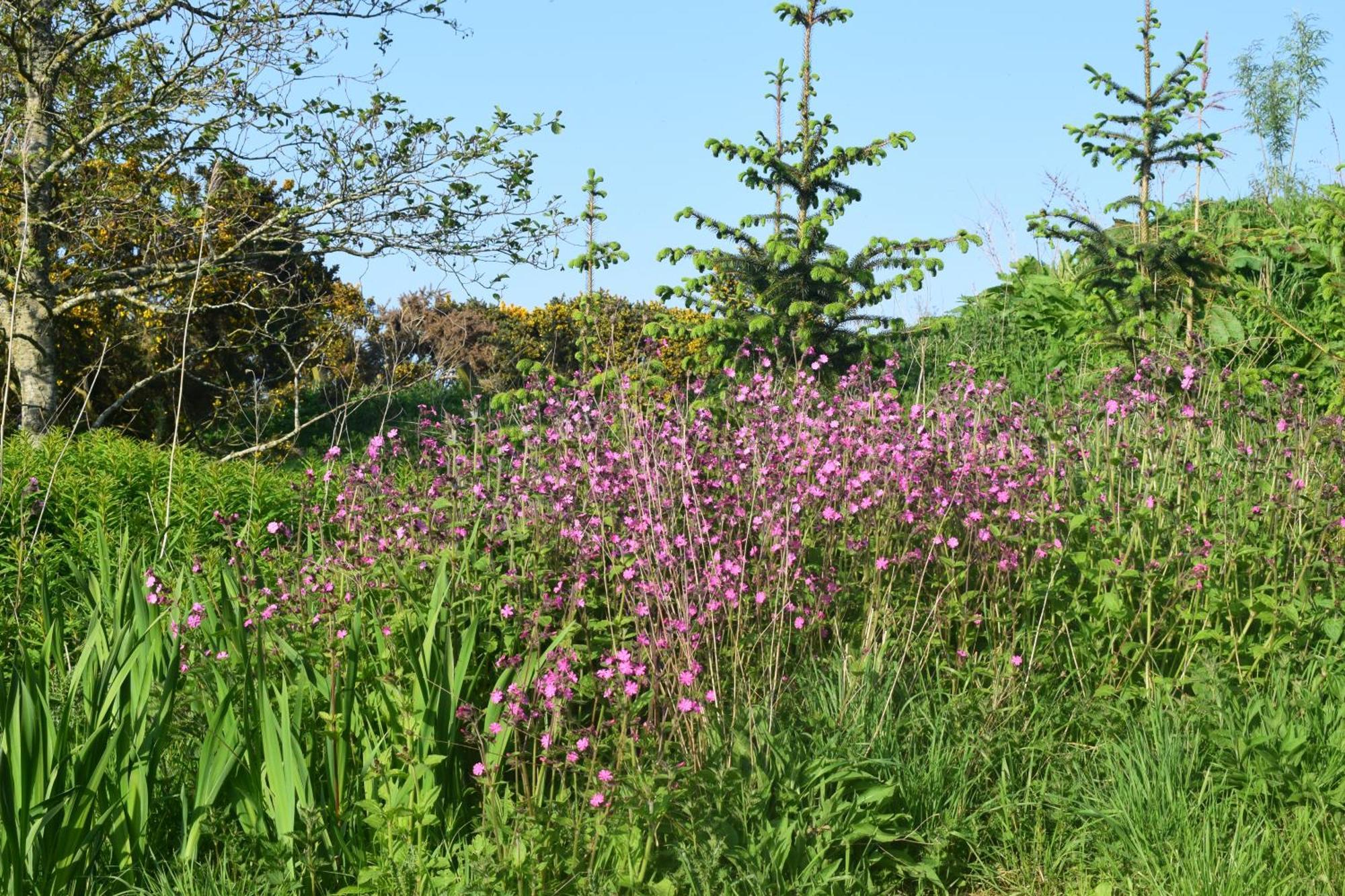 Shepherd'S Loch Glamping Turriff Eksteriør bilde